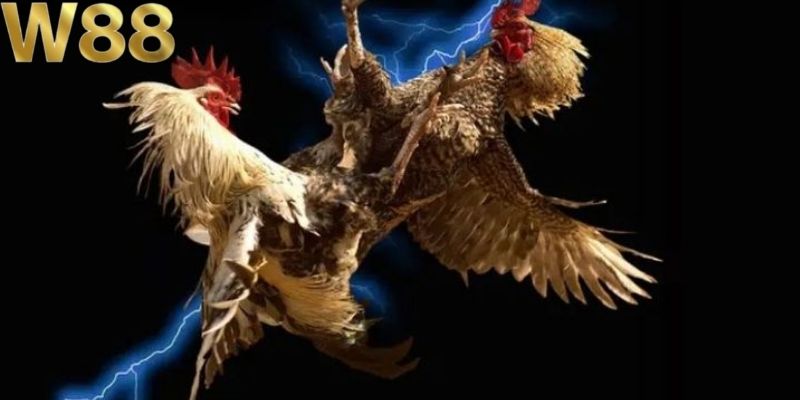 Chất lượng hình ảnh sảnh cược mang đến cực kỳ sắc nét