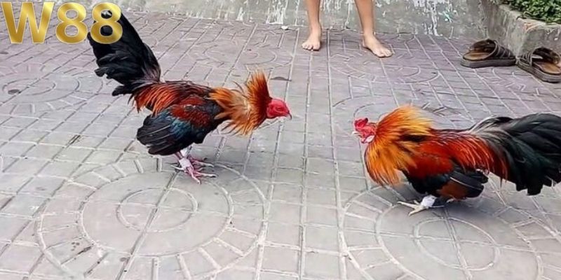 Phong độ là yếu tố quan trọng cần chú ý đến