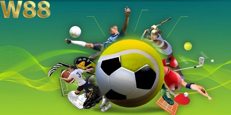 Danh mục thể thao được xây dựng với nhiều lựa chọn Danh mục thể thao được xây dựng với nhiều lựa chọn